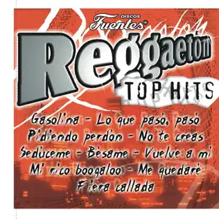 ladda ner album Various - Reggaeton Top Hits