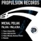 Palava - Michal Poliak lyrics