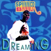 Spanner Banner - Better Days