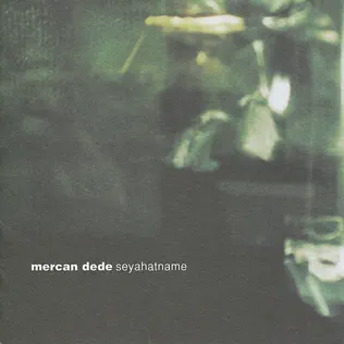 last ned album Mercan Dede - Seyahatname