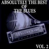 Absolutely the Best of the Blues, Vol. 2, 2009