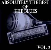 Absolutely the Best of the Blues, Vol. 2