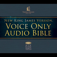 Thomas Nelson, Inc. - Voice Only Audio Bible - New King James Version, NKJV: (24) Matthew (Unabridged) artwork