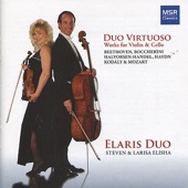 Passacaglia - Duo for Violin and Cello : Passacaglia - Duo for Violin and Cello artwork