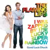 I Was Zapped By the Lucky Super Rainbow song lyrics