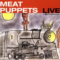 Meat Puppets Live by Meat Puppets album reviews, ratings, credits