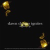 Dawn Chorus Ignites - Dawn Chorus Ignites