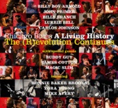 Chicago Blues a Living History - The (R)evolution Continues artwork