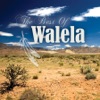 The Best of Walela