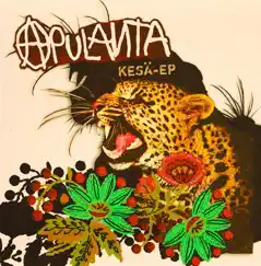 Kesä - EP by Apulanta album reviews, ratings, credits