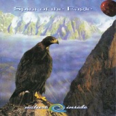 Spirit of the Eagle artwork