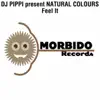 Stream & download Feel It (DJ Pippi Presents Natural Colours) - EP