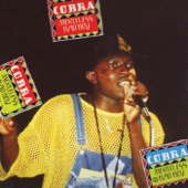 Cobra - Stop Dis The Girls