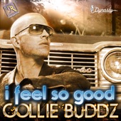Collie Buddz - I Feel So Good