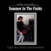 Summer In the Fields - Cigar Box Guitar Instrumentals artwork