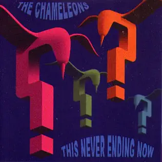 télécharger l'album The Chameleons - This Never Ending Now