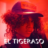 El Tigeraso artwork