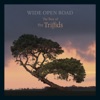 Wide Open Road - The Best of The Triffids