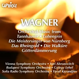 Die Walkure, Act III: Ride of the Valkyries by Gyorgy Lehel & Budapest Symphony Orchestra song reviws