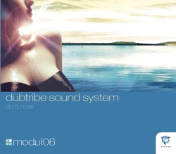 Dubtribe Sound System - Do It Now