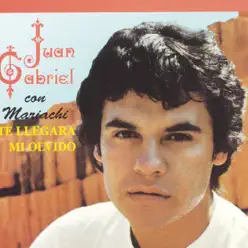 Te Llegará Mi Olvido - Juan Gabriel