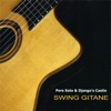 Swing Gitane, 2007