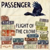 Flight of the Crow, 2010