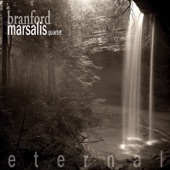 Branford Marsalis Quartet - The Lonely Swan