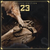23 (Deluxe Edition) artwork
