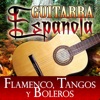 Guitarra Española Flamenco, Tangos y Boleros