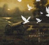 Ani DiFranco - You Had Time