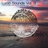Lucid Sounds Vol. 3 - A Fine And Deep Sonic Flow Of Club House, Electro, Minimal And Techno