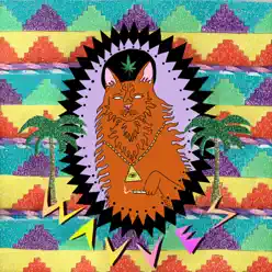 King of the Beach - Wavves