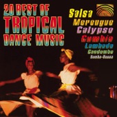 20 Best of Tropical Dance Music artwork
