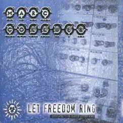 Let Freedom Ring (Radio Edit) Song Lyrics