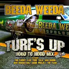 Turf's Up (Clean) [Hood To Hood Remix] Song Lyrics