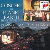 Concert for Planet Earth artwork