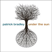Patrick Bradley - Straight Path