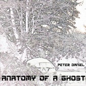 Peter Daniel - Anatomy