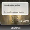 You're Beautiful (Factory Eurodance Version) - Single album lyrics, reviews, download