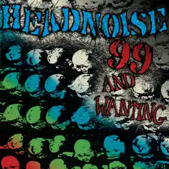 99 And Wanting - Headnoise