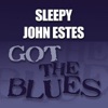 Sleepy John Estes - Clean Up at Home