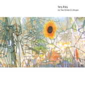 Terry Riley - Slow Melody In Bhairavi