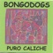 Gallo - The Bongodogs lyrics