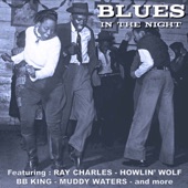 Elmore James - Rolling And Tumbling