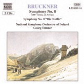 Symphony No. 0 in D minor, WAB 100, "Nullte" (ed. L. Nowak): I. Allegro artwork