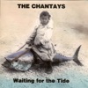 Waiting for the Tide, 1996