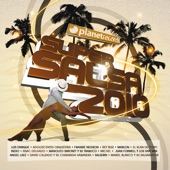 Super Salsa 2010 (Salsa Hits Only) artwork