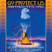 Go Protect Us: Harmonized Peyote Songs artwork
