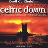 Celtic Dawn, Vol. 1 artwork